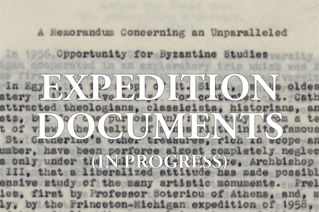 button with typed document detail and text EXPEDITION DOCUMENTS (in progress)